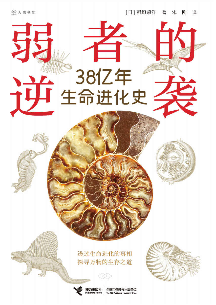 ​《弱者的逆袭》-pdf,txt,mobi,epub电子版书免费下载