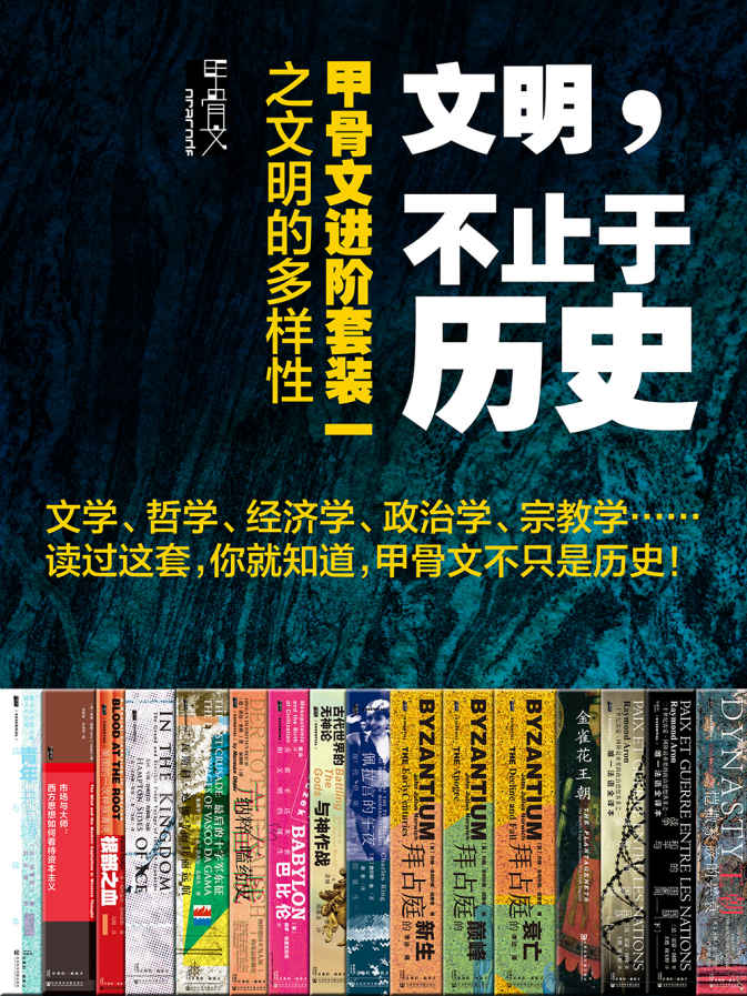 ​《文明不止于历史》-pdf,txt,mobi,epub电子版书免费下载