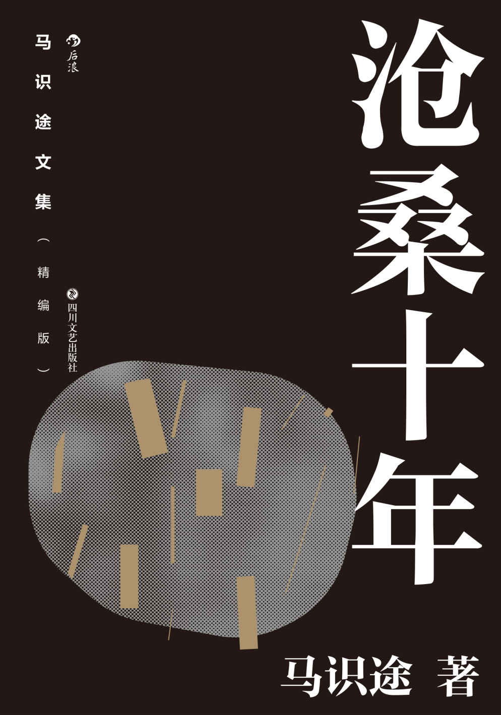 ​《沧桑十年》-pdf,txt,mobi,epub电子版书免费下载