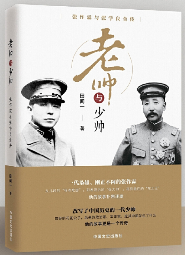 ​《老帅与少帅》-pdf,txt,mobi,epub电子版书免费下载